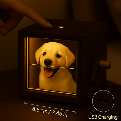 PetMory Box